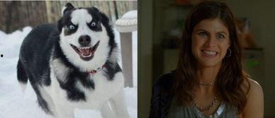 明星反杀绿茶,反杀绿茶，捍卫真爱荣耀